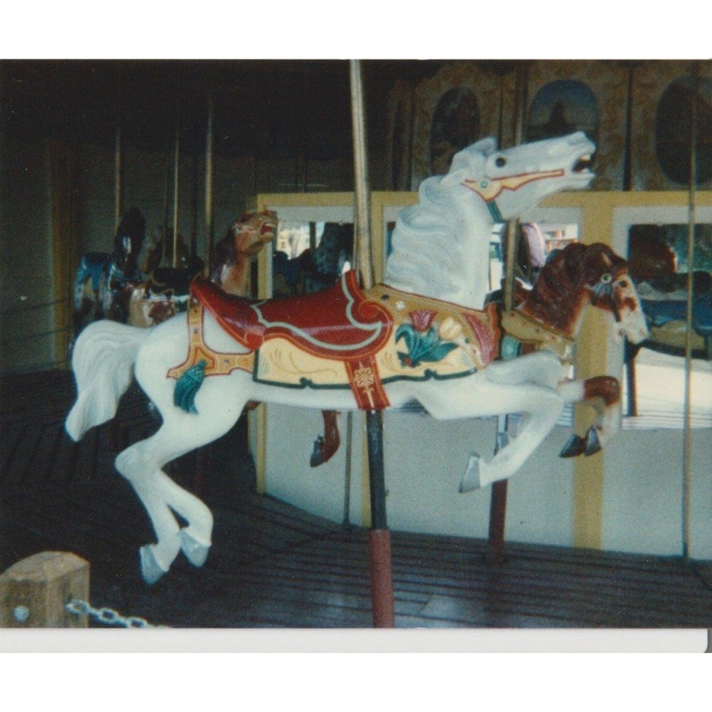 Vintage Color Photo Carousel Horse White Horse Red Saddle Tulip Design